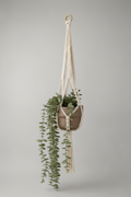 Suspension pour les plantes