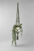 Suspension pour les plantes
